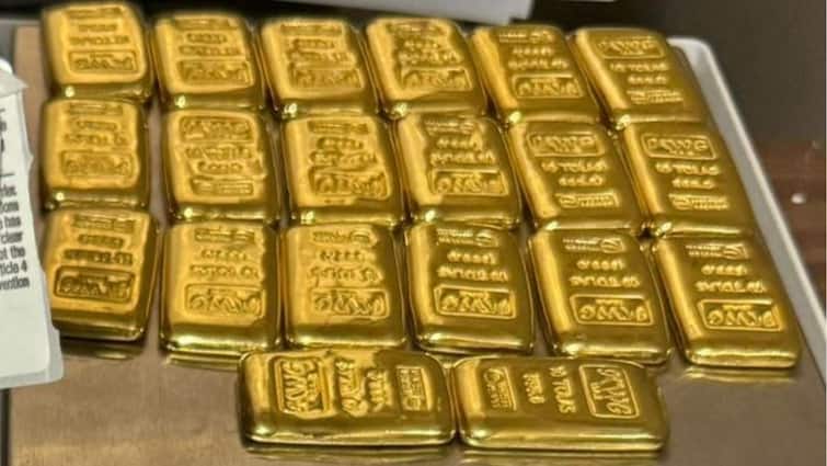 AIU Foils Gold Smuggling Attempt At Cochin International Airport, Seizes 20 Gold Bars Concealed In Passenger's Jeans AIU Foils Gold Smuggling Attempt At Cochin International Airport, Seizes 20 Gold Bars Concealed In Passenger's Jeans