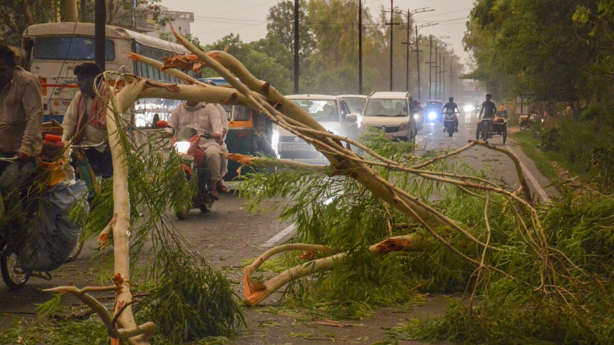 Delhi News: आंधी-तूफान के बाद दिल्ली पुलिस को पहुंचे 409 कॉल्स, पेड़ उखड़ने की ही 152 शिकायतें, दो की मौत