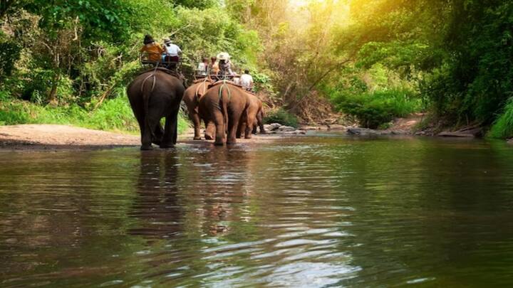 पैकेज का शुल्क ऑक्यूपेंसी के हिसाब से तय होता है. पैकेज में आपको सिंगल ऑक्यूपेंसी पर 62,660 रुपये, डबल ऑक्यूपेंसी पर 51,500 रुपये प्रति व्यक्ति और ट्रिपल ऑक्यूपेंसी पर 49,930 रुपये प्रति व्यक्ति के हिसाब से शुल्क देना होगा.