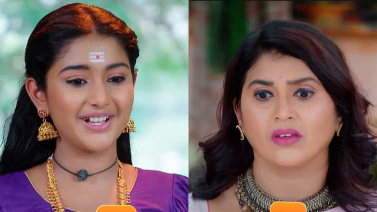 trinayani serial today may 11th episode written update in telugu Trinayani Serial Today May 11th: 'త్రినయని' సీరియల్:  బంగారు కొబ్బరి కాయతో త్రీ ఇడియట్స్‌ పిచ్చి పని.. ఇచ్చిపడేసిన తేనె టీగలు!