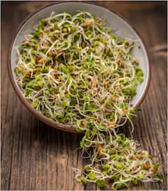 Weekend Breakfast: वीकेंड में बनाएं यह नाश्ता, गर्मी में रखेगा कूल और पेट कर देगा एकदम फुल