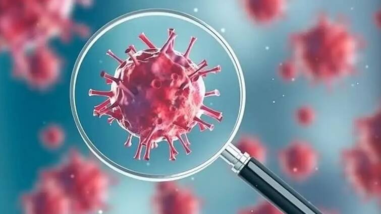 The new FLiRT variant of Corona has increased the concern and numerous cases have been reported in America કોવિડના ન્યૂ વેરિયન્ટે ફરી જગાડી ચિંતા, અમેરિકામાં અસંખ્ય કેસ નોંધાતા લોકોમાં ફફડાટ, FLiRTમાં વેક્સિન પણ બેએસર!