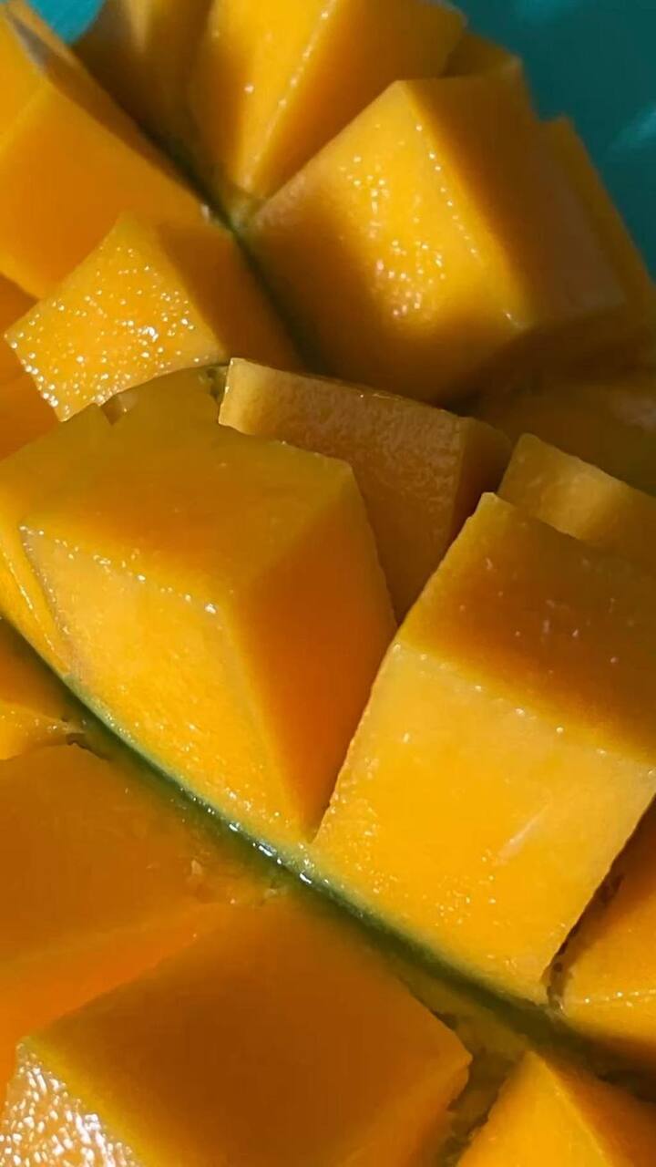 इसी के साथ अगर आप नाश्ते के दौरान आम का सेवन कर रहे हैं, तो इसे दही के साथ मिक्स करके आप योगर्ट पारफेट या स्मूदी के रूप में इसका आनंद ले सकते हैं. फ्रूट सलाद के रूप में भी आप आम का स्वाद ले सकते हैं.