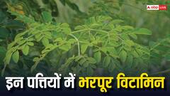नेचुरल तरीके से इन पत्तियों से करें प्रोटीन की कमी को दूर, इन पत्तियों में है विटामिन का खजाना