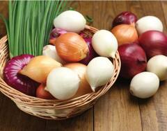 ਕੀ ਫ਼ਾਇਦੇ ਤੇ ਕੀ ਨੁਕਸਾਨ ਹੋ ਸੱਕਦੇ ਹਨ ਕੱਚਾ ਪਿਆਜ਼ ਅਤੇ ਲਸਣ ਖਾਣ ਦੇ, ਪਤਾ ਕਰੋ