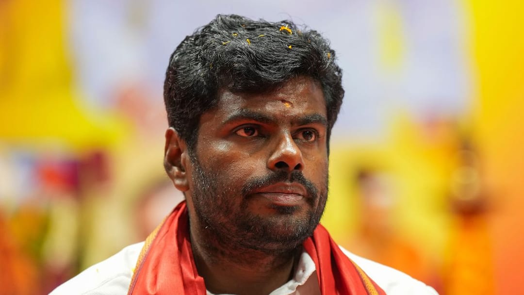 பாஜக கிளப்பிவிட்டதா? எப்போ? எங்கே? டெஸ்ட் பண்ணிட்டு எங்க மேல பழியா? - உதயநிதிக்கு அண்ணாமலை கேள்வி!