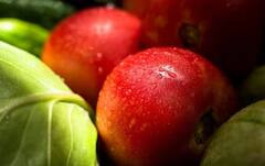 ਕਿਹੜਾ ਸੇਬ ਹੋ ਸੱਕਦਾ ਹੈ ਸ਼ੂਗਰ ਦੇ ਮਰੀਜ਼ਾਂ ਲਈ ਫ਼ਾਇਦੇਮੰਦ, ਲਾਲ ਜਾਂ ਹਰਾ ?