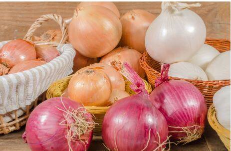 ਕੱਚੇ ਪਿਆਜ਼ ਵਿੱਚ ਫੋਲੇਟ, ਆਇਰਨ, ਪੋਟਾਸ਼ੀਅਮ ਅਤੇ ਵਿਟਾਮਿਨ ਸੀ ਅਤੇ ਬੀ6 ਹੁੰਦਾ ਹੈ। ਇਹ ਸਰੀਰ ਵਿੱਚ ਊਰਜਾ ਦਾ ਇੱਕ ਚੰਗਾ ਸਰੋਤ ਹੈ ਇਸ ਵਿੱਚ ਵੱਡੀ ਮਾਤਰਾ ਵਿੱਚ ਮੈਂਗਨੀਜ਼ ਹੁੰਦਾ ਹੈ। ਜੋ ਕਿ ਜ਼ੁਕਾਮ ਅਤੇ ਖਾਂਸੀ ਵਿੱਚ ਵੀ ਚੰਗਾ ਹੁੰਦਾ ਹੈ।