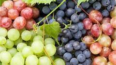 Grapes Benefits: ਹਰੇ-ਕਾਲੇ ਜਾਂ ਲਾਲ ਅੰਗੂਰ ਕਿਹੜੇ ਸਭ ਤੋਂ ਵਧੀਆ ? ਭਿਆਨਕ ਬਿਮਾਰੀਆਂ ਦਾ ਇੰਝ ਕਰਦੇ ਖਾਤਮਾ