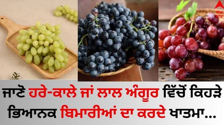 Red-Black, Green Grapes Which is Healthier: ਜ਼ਿਆਦਾਤਰ ਲੋਕ ਆਪਣੇ ਸਰੀਰ ਅਤੇ ਖੁਰਾਕ ਪ੍ਰਤੀ ਸੁਚੇਤ ਰਹਿੰਦੇ ਹਨ। ਕੁਝ ਲੋਕ ਡਾਈਟ ਚਾਰਟ ਦੇ ਮੁਤਾਬਕ ਨਾਸ਼ਤਾ, ਫਲ ਅਤੇ ਡਿਨਰ ਕਰਦੇ ਹਨ।