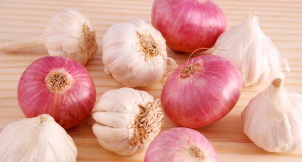 ਪਿਆਜ਼ ਵਿੱਚ Quercetin ਪਾਇਆ ਜਾਂਦਾ ਹੈ ਜੋ ਐਲਰਜੀ ਅਤੇ ਸੋਜ ਨੂੰ ਕੰਟਰੋਲ ਵਿੱਚ ਰੱਖਦਾ ਹੈ। ਕੱਚਾ ਪਿਆਜ਼ ਖਾਣ ਨਾਲ ਇਮਿਊਨਿਟੀ ਵਧਦੀ ਹੈ।