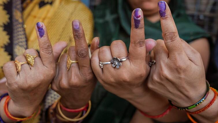 Mukesh kumar meena clarifies that Indelible ink used while voting wont be available outside Electoral Ink: చూపుడువేలుపై వేసే ఇంక్ బయట లభ్యమవుతుందా? అలా చేస్తే కఠిన చర్యలు - ఈసీ వార్నింగ్