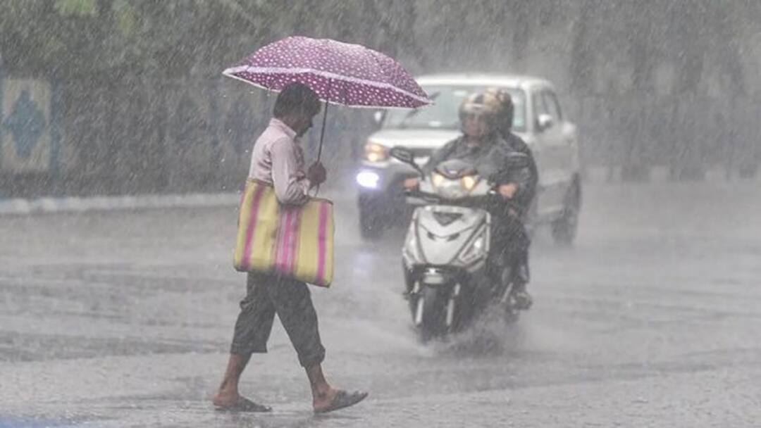 The Meteorological Department has predicted unseasonal rain in the district of Gujarat, and heat wave condition in this district of Gujarat Weather Update: કાળઝાળ ગરમી વચ્ચે કમોસમી વરસાદનું સંકટ, આગામી 4 દિવસ આ જિલ્લામાં માવઠાની આગાહી
