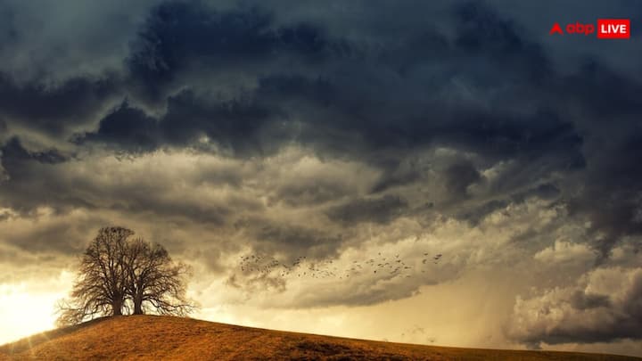 गुजरे हुए 24 घंटो में पंजाब, दिल्ली, पश्चिमी उत्तर प्रदेश में धूल भरी आंधी आई, जिसके चलते कई जगहों पर बूंदाबांदी और औलावृष्टि भी हुई. दरसल, मध्यप्रदेश पर चक्रवाती हवाओं का असर बना हुआ है, जिससे उपरोक्त राज्यों में मौसम बिगड़ने की संभावना है, ओलावृष्टि होने से किसान भाइयों की मेहनत पर पानी भी फिर सकता है.