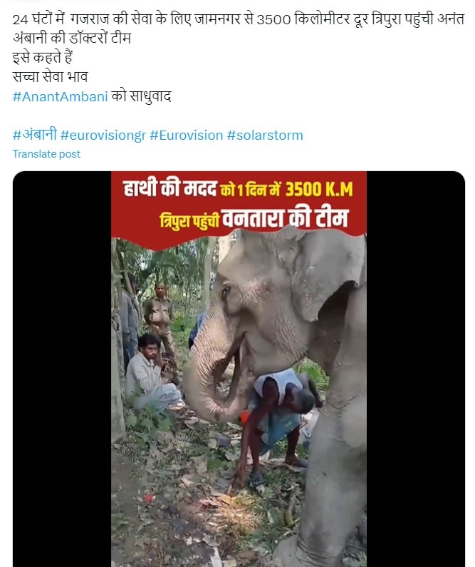 Anant Ambani: অসুস্থ গজরাজের ত্রাতা অনন্ত অম্বানি, জামনগর থেকে চিকিৎসকের দল পাঠালেন ত্রিপুরায়