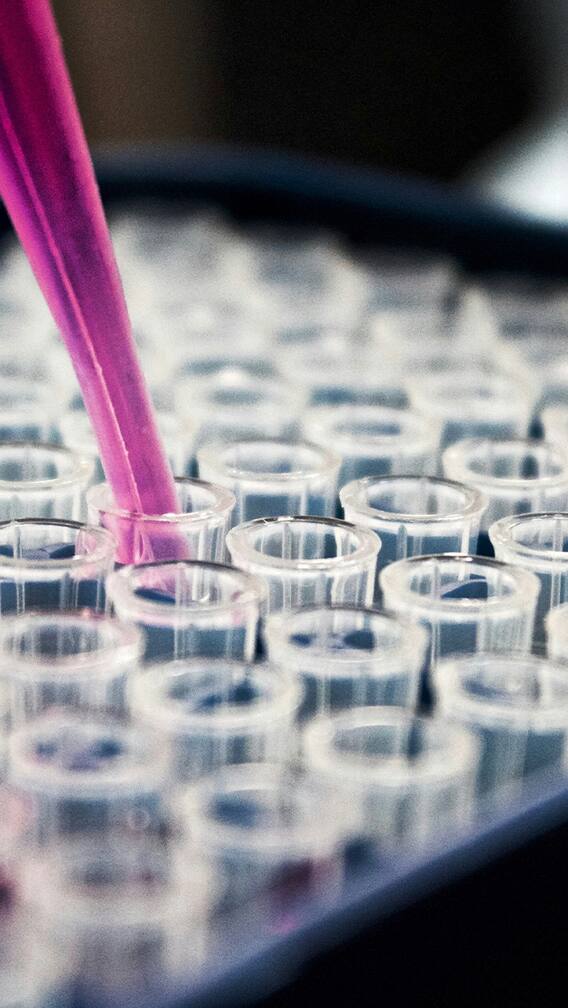 बर्ड फ्लूचा वाढता धोका!