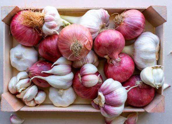 ਖਾਲੀ ਪੇਟ ਲਸਣ ਖਾਣ ਦੇ ਕਈ ਫਾਇਦੇ ਹਨ। ਜਿਨ੍ਹਾਂ ਲੋਕਾਂ ਨੂੰ ਗੈਸ ਅਤੇ ਕਬਜ਼ ਦੀ ਸਮੱਸਿਆ ਹੈ, ਉਨ੍ਹਾਂ ਨੂੰ ਸਵੇਰੇ ਖਾਲੀ ਪੇਟ ਲਸਣ ਦੀਆਂ ਕਲੀਆਂ ਦਾ ਸੇਵਨ ਕਰਨਾ ਚਾਹੀਦਾ ਹੈ।