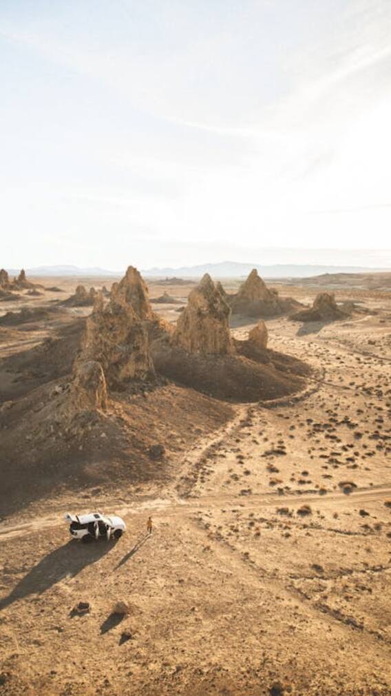 गांव में खाली पड़ी जमीन से ऐसे कमाएं पैसे