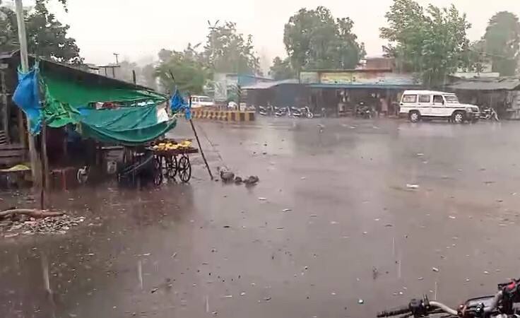 Gujarat Rain: ડાંગ જિલ્લામાં ભારે પવન અને કરા સાથે વરસાદ, પ્રવાસીઓમાં ખુશીનો માહોલ Heavy wind and rain with hail in Dang district Gujarat Rain: ડાંગ જિલ્લામાં ભારે પવન અને કરા સાથે વરસાદ, પ્રવાસીઓમાં ખુશીનો માહોલ