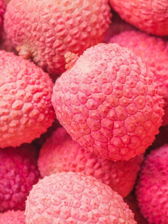 क्या शुगर में खा सकते हैं लीची?