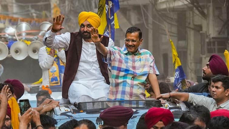 'Won't Have To Return To Jail If You Vote For Jhadu': AAP Chief Kejriwal Tells Delhi Voters