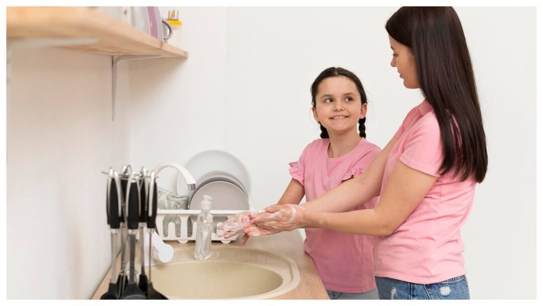 किचन सिंक खरीदते समय इन बातों का रखें ध्यान, कभी नहीं होगी परेशानी Keep These Tips in Mind When Buying a Kitchen Sink Avoid Future Hassles किचन सिंक खरीदते समय इन बातों का रखें ध्यान, कभी नहीं होगी परेशानी