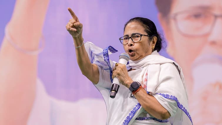 Lok Sabha Elections 2024 Mamata Banerjee says TMC not allow NRC CAA in West Bengal claims BJP Terrible Conspiracy Lok Sabha Elections 2024: 'मुझे मंजूर नहीं CAA, असम में 19 लाख हिंदू बंगालियों के...', बोलीं ममता बनर्जी
