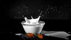 दुनिया का एक ऐसा जानवर जिसका दूध होता है काला, नाम जान हैरान रह जाएंगे आप