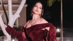 Sunny Leone Birthday: सनी लिओनीचे होते नर्स बनण्याचे स्वप्न, जाणून घेऊया तिच्या प्रवासाबद्दल!