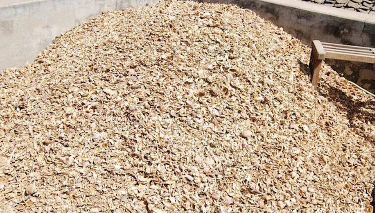 Khanna Police recovered truck full of popy husk Punjab News: ਚੋਣਾਂ ਵਿਚਾਲੇ ਖੰਨਾ ਪੁਲਿਸ ਨੂੰ ਮਿਲੀ ਵੱਡੀ ਸਫਲਤਾ, ਭੁੱਕੀ ਨਾਲ ਭਰਿਆ ਟਰੱਕ ਕੀਤਾ ਬਰਾਮਦ