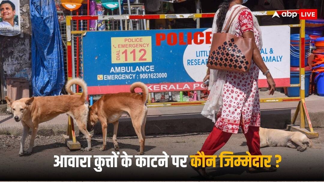 Stray Dogs: सोसायटी के अंदर कुत्तों को फीड कराते हैं लोग, अगर ये काट लें तो कौन होगा जिम्मेदार? Dog bite cases People feed Stray dogs inside housing society if they bite someone then who will be responsible Stray Dogs: सोसायटी के अंदर कुत्तों को फीड कराते हैं लोग, अगर ये काट लें तो कौन होगा जिम्मेदार?
