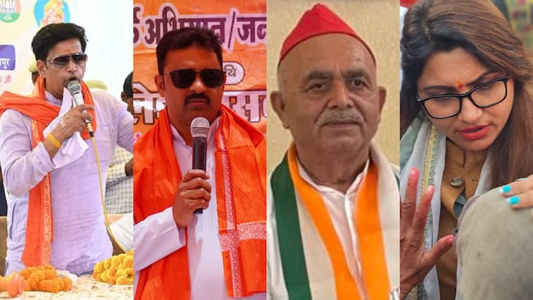 UP Lok Sabha Elections 2024 Gorakhpur Sadar Bansgaon seat BJP samajwadi party candidate Ravi Kishan Kajal Nishad criminal history ann Lok Sabha Election 2024: इन प्रत्याशियों के दामन हैं दागदार, BJP नेता पर 8 और सपा नेता पर 3 आपराधिक केस