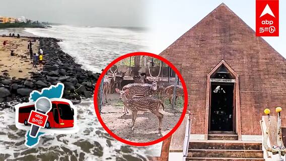 Pondichery : பாண்டிச்சேரியில் 1 நாள்...150 ரூபாய் PACKAGE இத்தனை இடங்களா?