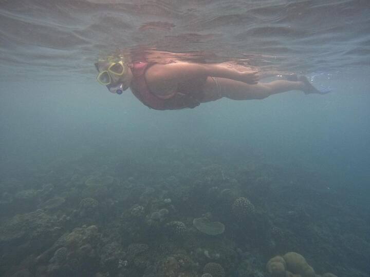 పండగ చేస్కో, షేర్ ,సైజ్ జీరో, డిక్టేటర్, రూలర్, ది ఘోస్ట్, F3 సినిమాల్లో మెరిసింది