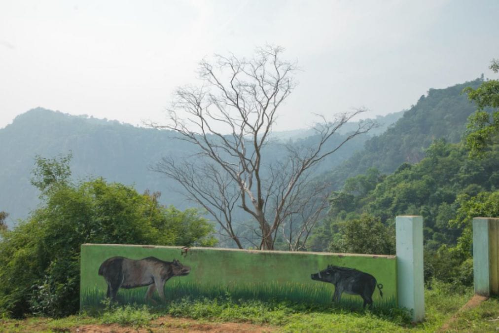 Pachamalai Hills:  இயற்கை அழகை தன்னுள் கொண்டுள்ள பச்சைமலைக்கு வந்த சோதனை, மக்கள் ஏமாற்றம்