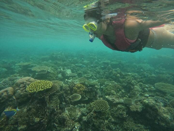 సోషల్ మీడియాలో యాక్టివ్ గా ఉండే సోనాల్ ఎప్పటికప్పుడు ఫొటోస్, వీడియోస్ షేర్ చేస్తుంటుంది..