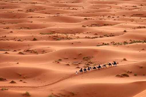 Tourists taking camel rides in the Sahara Desert of Egypt. (Source: Getty) 