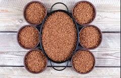 Flex Seeds: ਕਈ ਸਮੱਸਿਆਵਾਂ ਦਾ ਰਾਮਬਾਣ ਹੈ ਇਹ ਛੋਟਾ ਜਿਹਾ ਬੀਜ , 5 ਫਾਇਦੇ ਜੋ ਤੁਹਾਨੂੰ ਹੈਰਾਨ ਕਰ ਦੇਣਗੇ