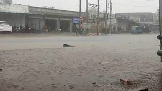 Bhavnagar: ભાવનગરના સિહોર તાલુકાના ગામોમાં કરા સાથે વરસ્યો વરસાદ, પાકને નુકસાન થવાની ભીતી