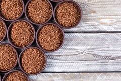 Flex Seeds: कई समस्याओं का रामबाण इलाज है ये छोटू सा बीज, 5 फायदे जो हैरान कर देंगे आप