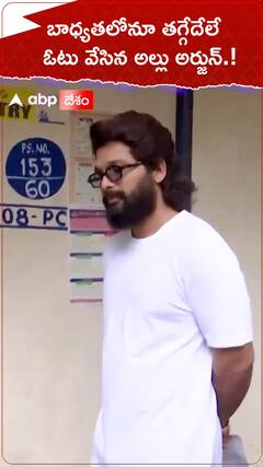 బాధ్యతలోనూ తగ్గేదేలే...ఓటు వేసిన అల్లు అర్జున్.!