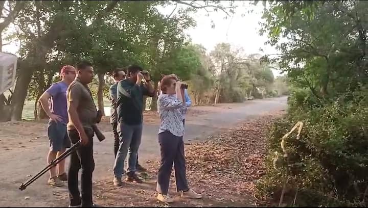 पेट्रीसिया ए लैसिना भारत में अमेरिकी राजदूत हैं और वह भरतपुर में केवलादेव नेशनल पार्क को देखने के लिए पहुंची हैं. यह उनकी निजी यात्रा है. अमेरिकी राजदूत की सुरक्षा के मद्देनजर यहां का स्टाफ जरूरी प्रोटोकॉल को फॉलो करता नजर आया.