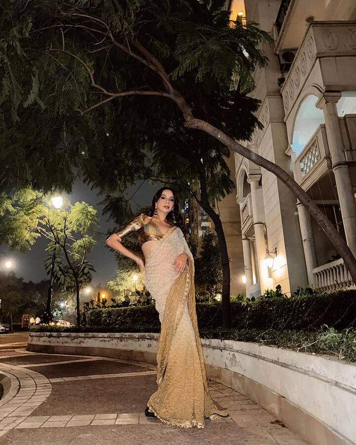 નિતિભા કૌલ વ્હાઈટ કલરની સાડીમાં ખૂબ જ શાનદાર પોઝ આપતી જોવા મળી રહી છે.