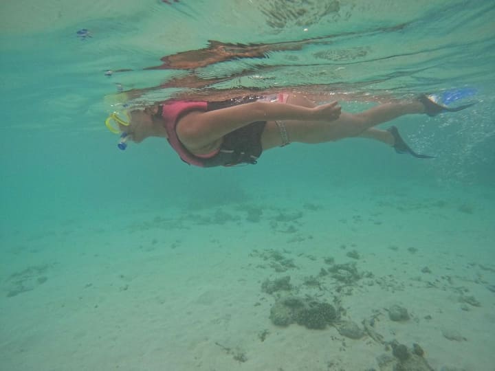 జన్నత మూవీతో కెరీర్ స్టార్ట్ చేసిన సోనాల్ చౌహాన్ లెజెండ్ సినిమాతో తెలగులోకి ఎంట్రీ ఇచ్చింది