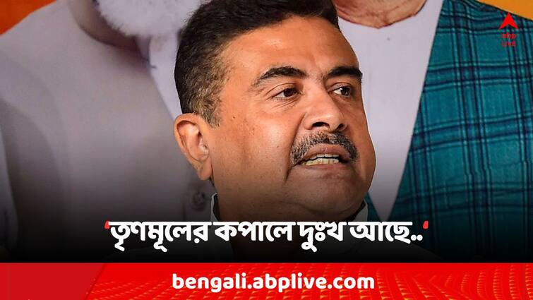 Lok Sabha Election 2024 BJP Leader Suvendu Adhikari warns TMC and he says  more central force will come in Bengal after ending Telangana Poll Suvendu Adhikari: 'শেষ ২ দফায় ঢুকবে হাজার হাজার কেন্দ্রীয় বাহিনী', তৃণমূলের খেলা শেষের হুঙ্কার শুভেন্দুর