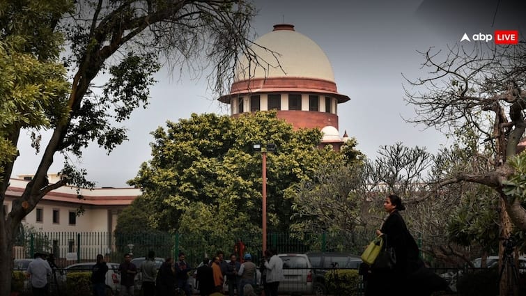 Supreme Court Delhi LG Ordered Felling Of Trees Judicial Review DDA Over Deforestations In Ridge Area SC Says Delhi LG Subject To Judicial Review If He Ordered Felling Of Trees, Grills DDA Over Deforestations In Ridge Area