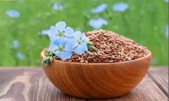 Flex Seeds: ਕਈ ਸਮੱਸਿਆਵਾਂ ਦਾ ਰਾਮਬਾਣ ਹੈ ਇਹ ਛੋਟਾ ਜਿਹਾ ਬੀਜ , 5 ਫਾਇਦੇ ਜੋ ਤੁਹਾਨੂੰ ਹੈਰਾਨ ਕਰ ਦੇਣਗੇ