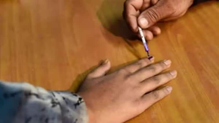 The percentage of voting in Pune, Aurangabad, Shirur, Maval Lok Sabha constituencies till 5 pm has been revealed. Maharashtra Lok Sabha Election Voting 2024: राज्यात सायंकाळी 5 वाजेपर्यंत सरासरी सुमारे 52.46 टक्के मतदान; नंदुरबारमध्ये सर्वाधिक मतदान