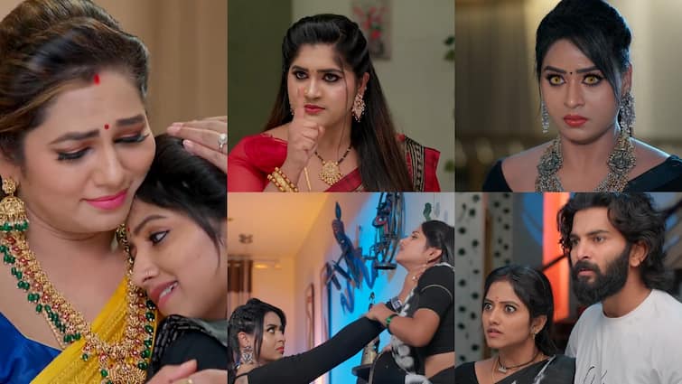 naga panchami serial today may 13th episode written update in telugu Naga Panchami Serial Today May 13th: 'నాగ పంచమి' సీరియల్ : తోటికోడళ్ల కడుపు పోగొట్టడానికి చిత్ర కన్నింగ్ ప్లాన్.. పంచమిని తిట్టిన మోక్ష!