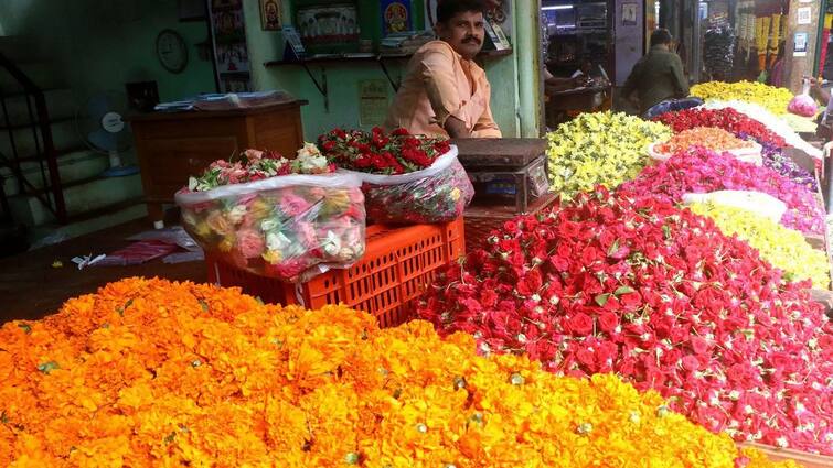 Thanjavur news Marigolds have seen a sharp rise in prices in the last 30 years - TNN 30 ஆண்டுகளில் இல்லாத அளவிற்கு கடுமையாக விலை உயர்ந்துள்ள செண்டிப்பூக்கள்